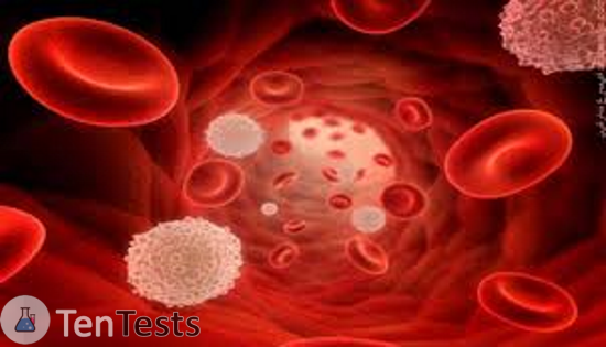 فصائل الدم النادرة -2