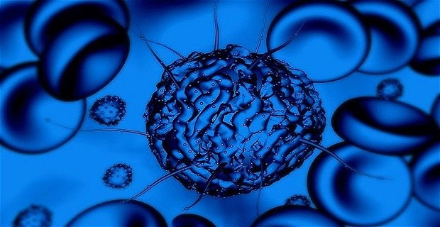 ما هي الخلايا الجذعية